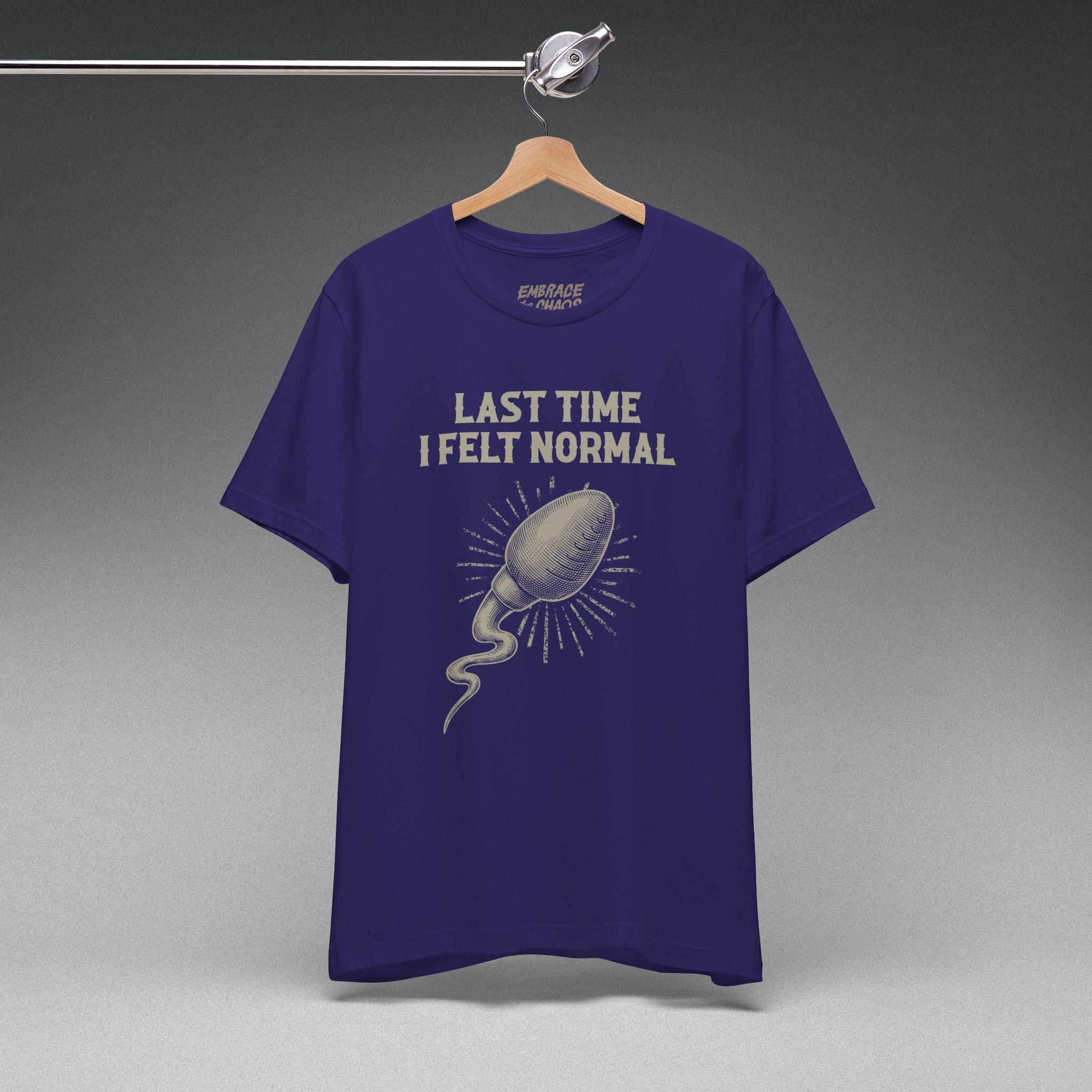 LAST TIME I FELT NORMAL TEE