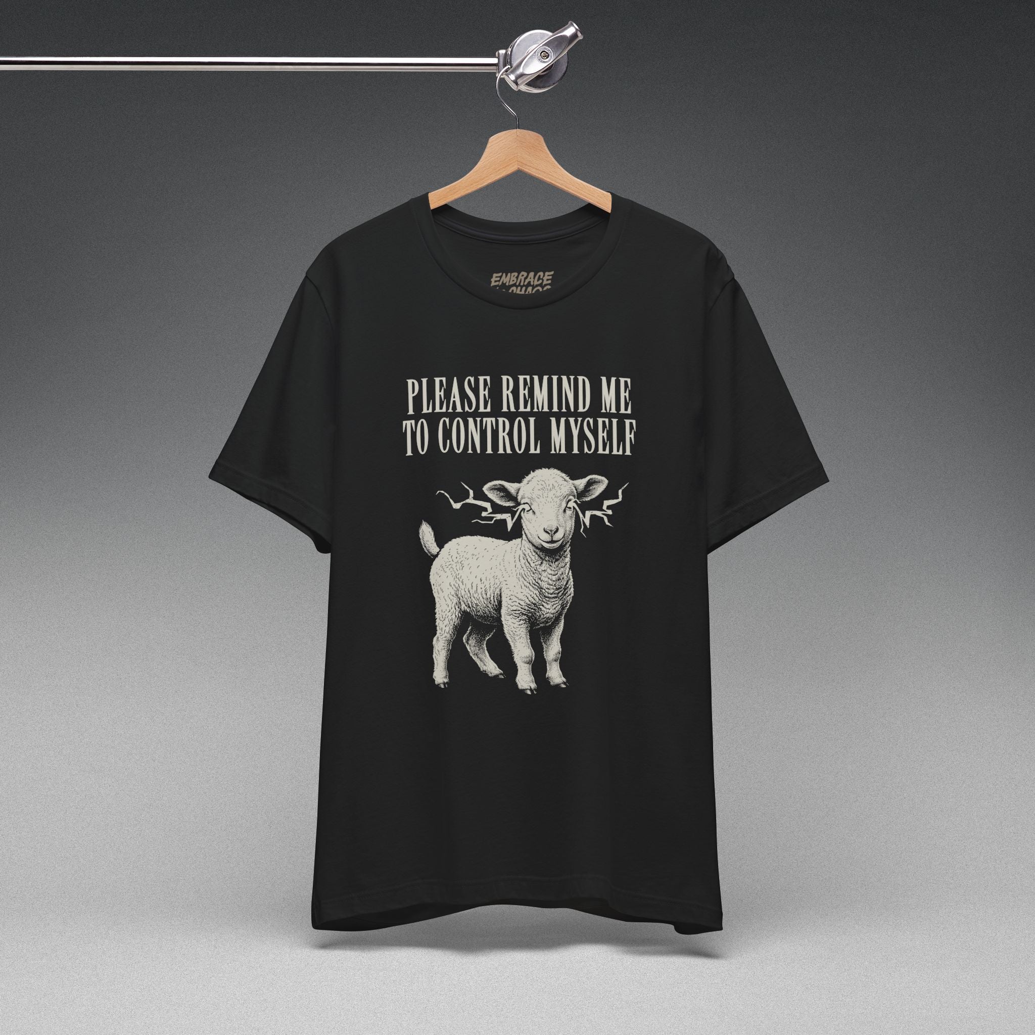 PLEASE REMIND ME TO CONTROL MYSELF TEE