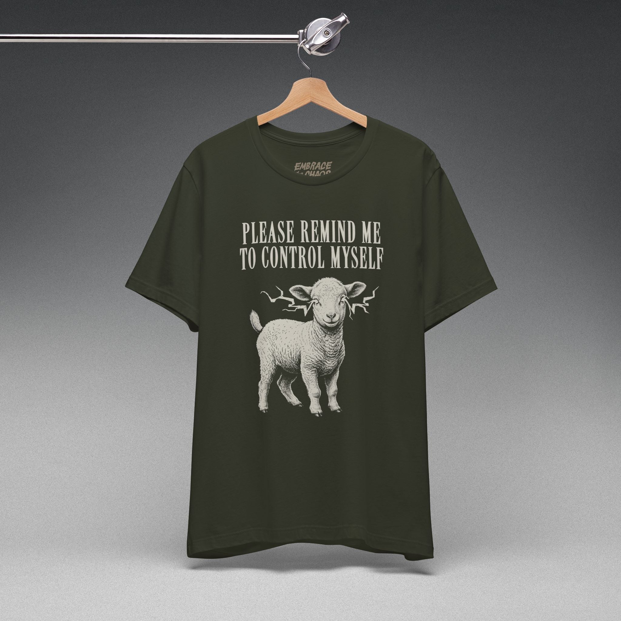 PLEASE REMIND ME T-SHIRT