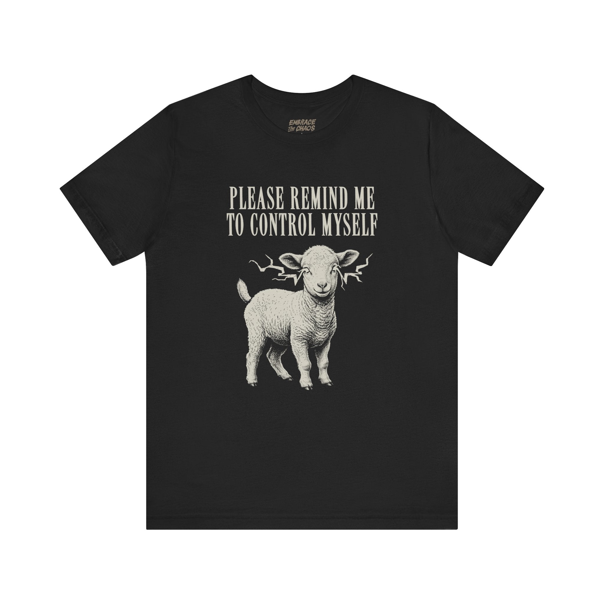 PLEASE REMIND ME TO CONTROL MYSELF TEE
