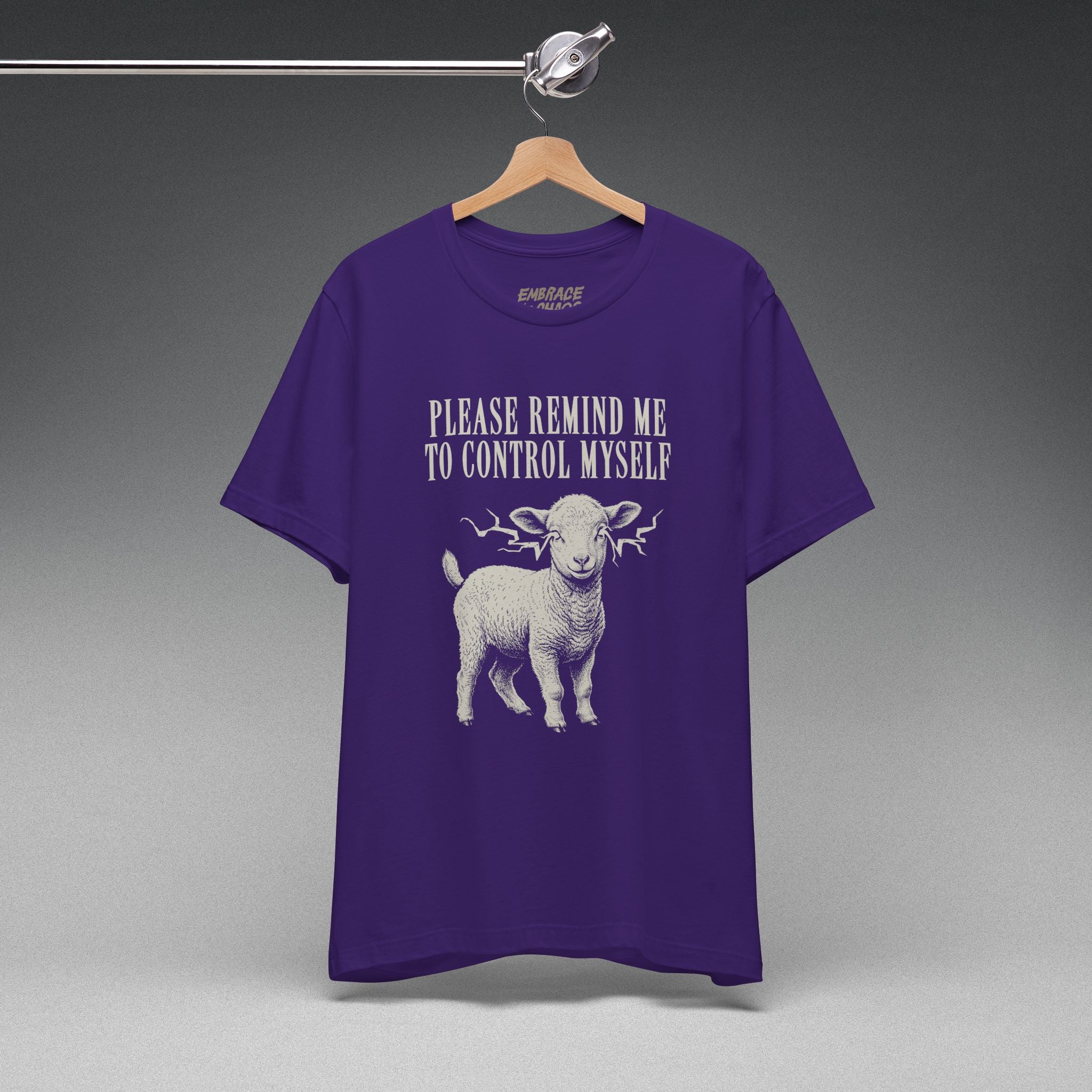 PLEASE REMIND ME TO CONTROL MYSELF TEE