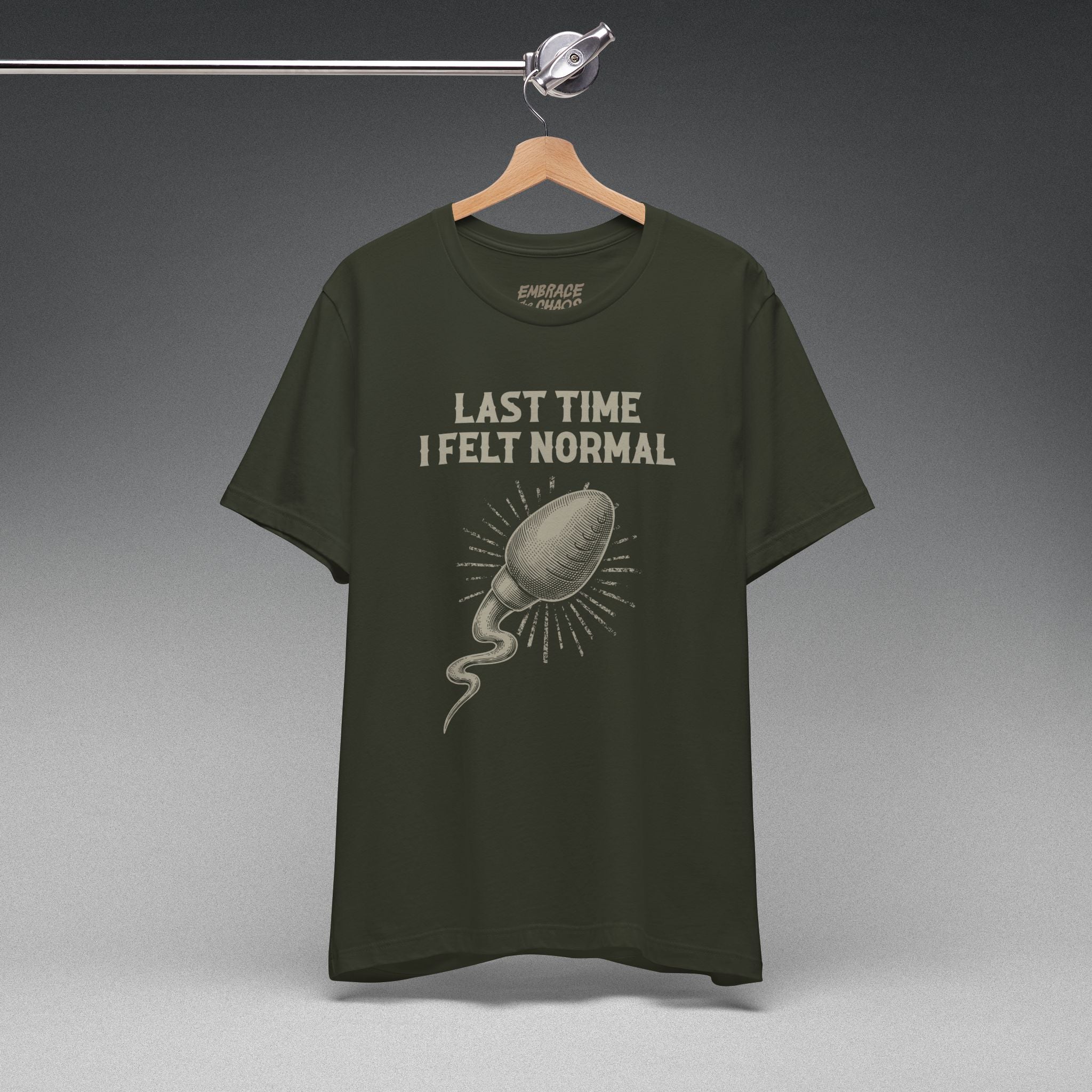 LAST TIME I FELT NORMAL TEE