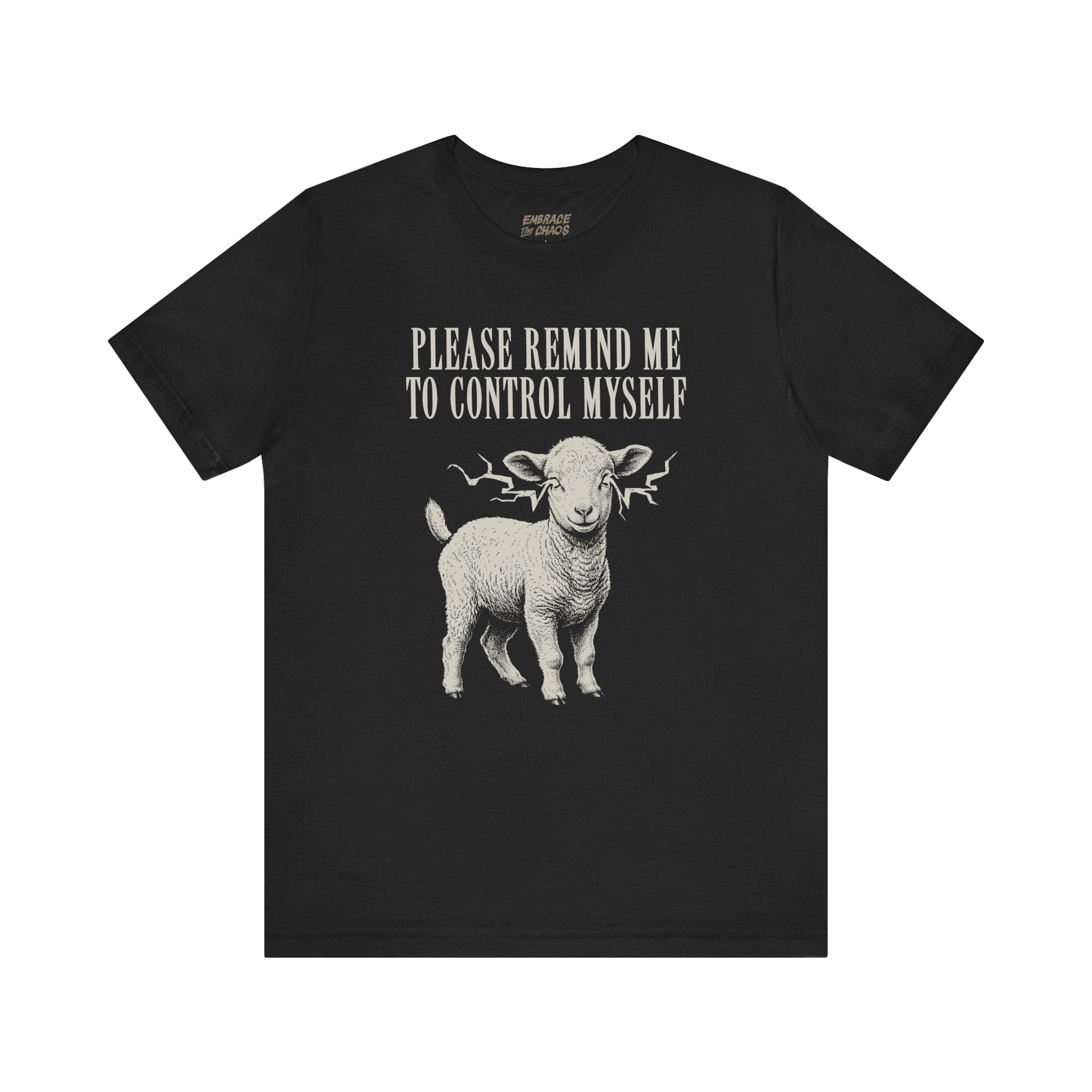PLEASE REMIND ME T-SHIRT