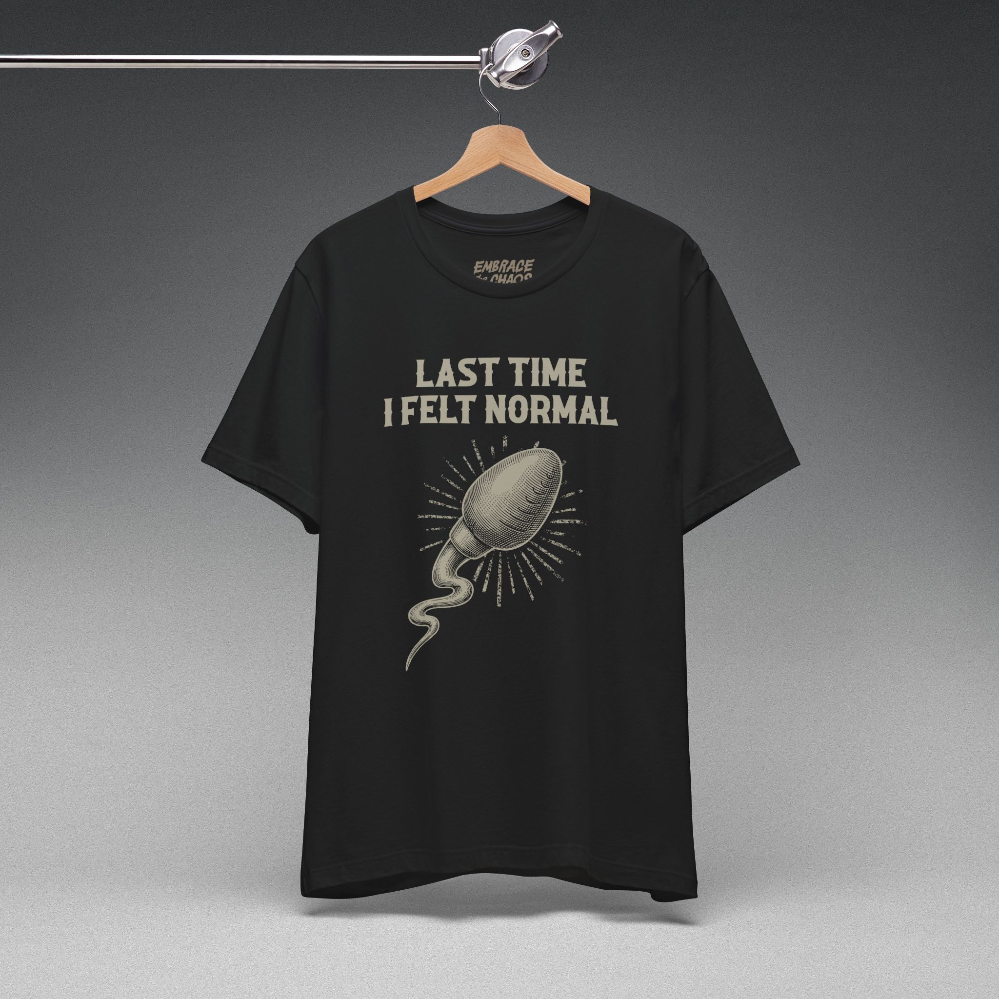LAST TIME I FELT NORMAL TEE
