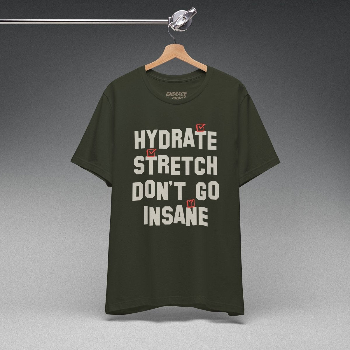DON'T GO INSANE TEE XS Dark Olive - Embrace The Chaos mental health humor apparel
