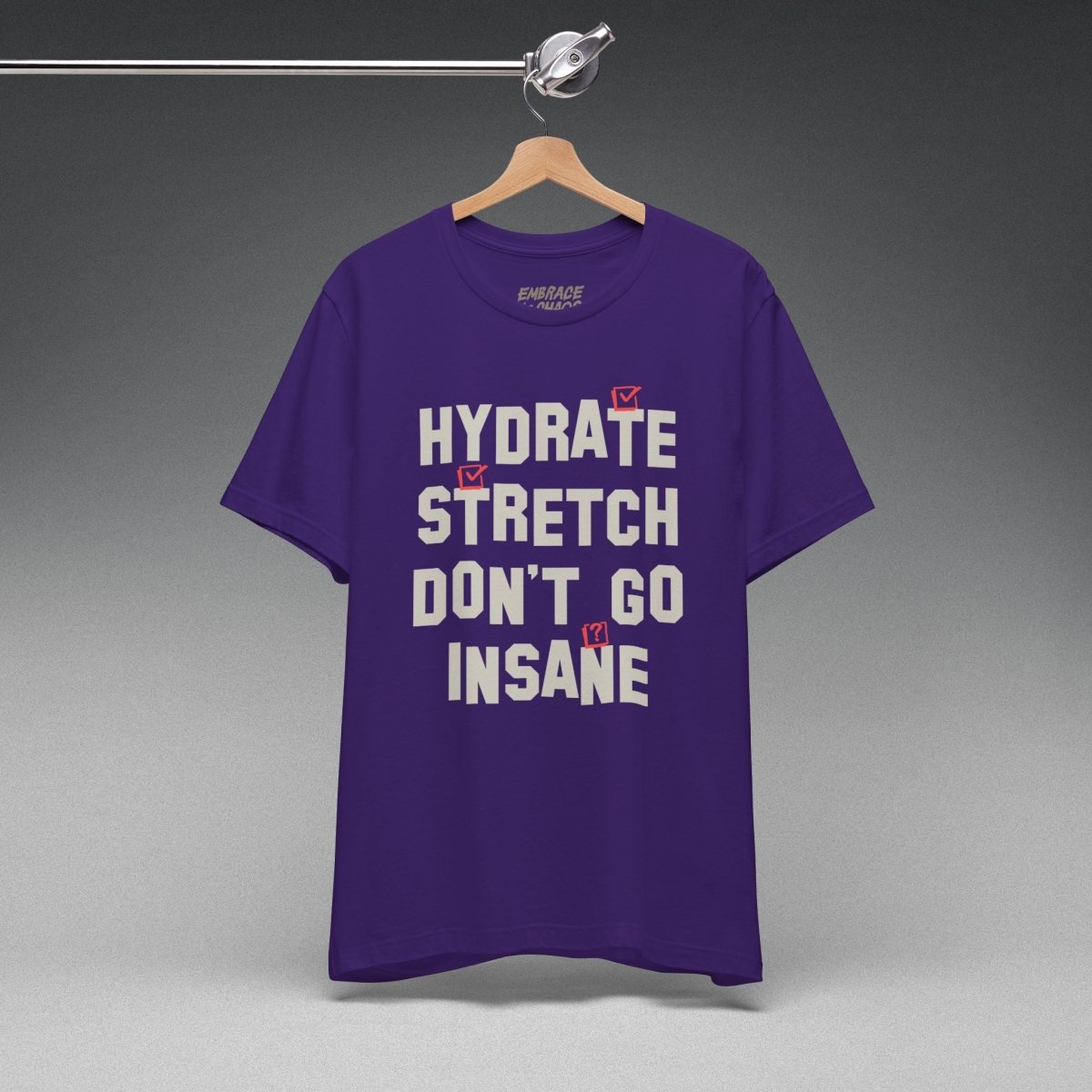 DON'T GO INSANE TEE XS Team Purple - Embrace The Chaos mental health humor apparel
