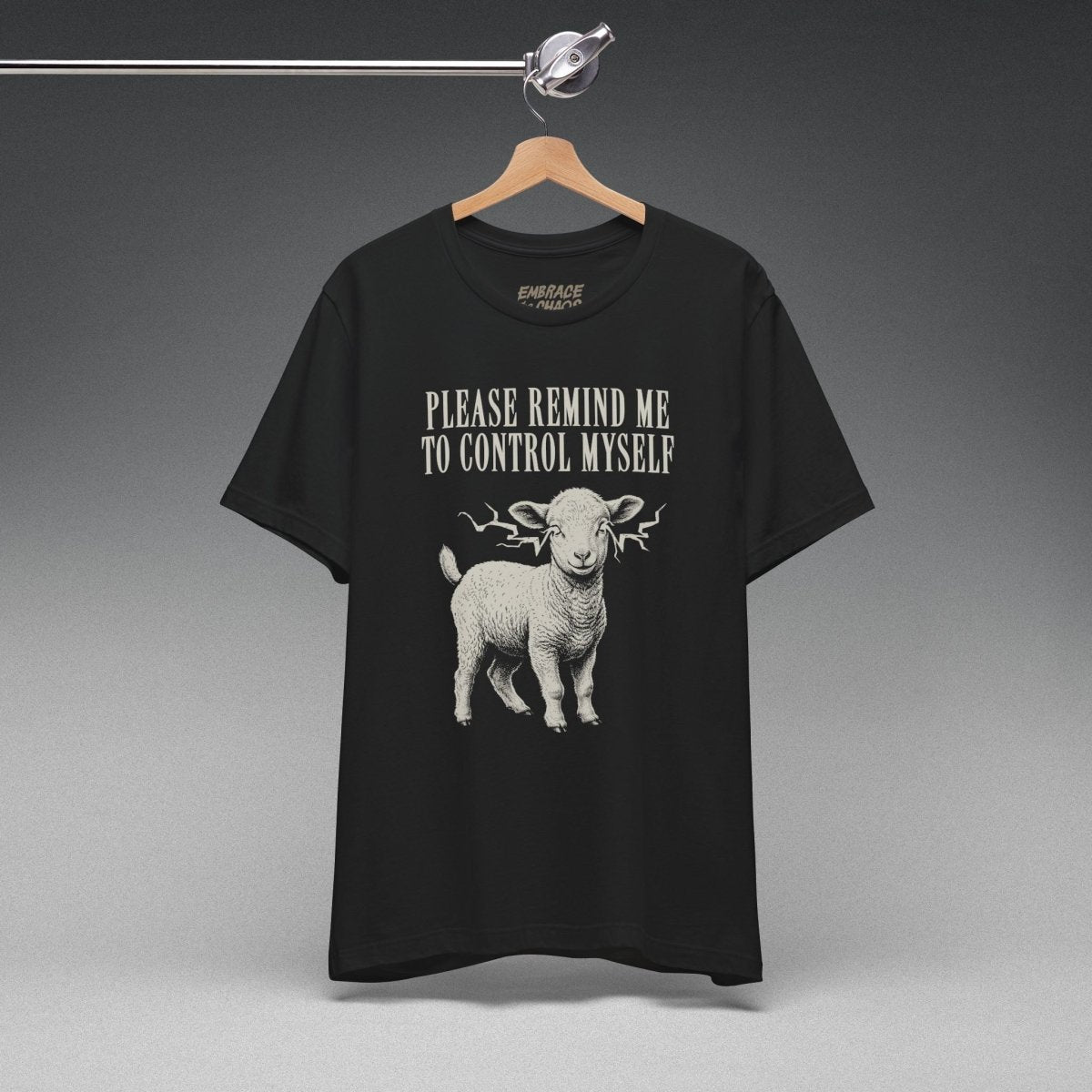 PLEASE REMIND ME T-SHIRT XS Team Purple - Embrace The Chaos mental health humor apparel