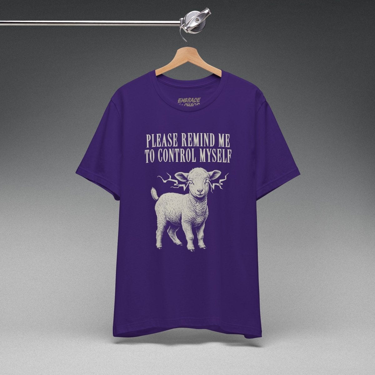 PLEASE REMIND ME T-SHIRT XS Team Purple - Embrace The Chaos mental health humor apparel