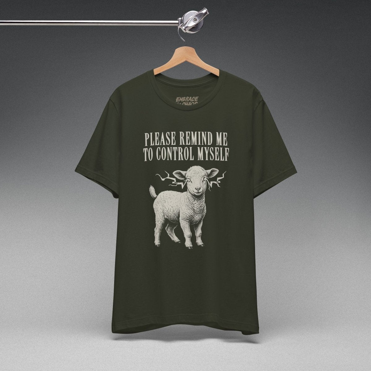 PLEASE REMIND ME T-SHIRT XS Dark Olive - Embrace The Chaos mental health humor apparel