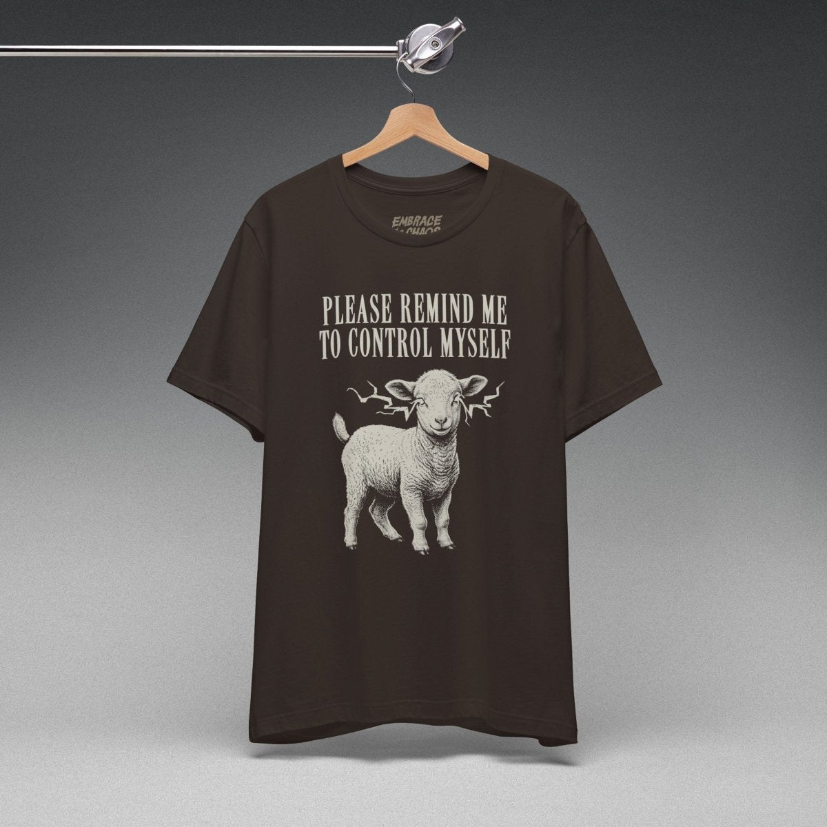 PLEASE REMIND ME T-SHIRT XS Brown - Embrace The Chaos mental health humor apparel