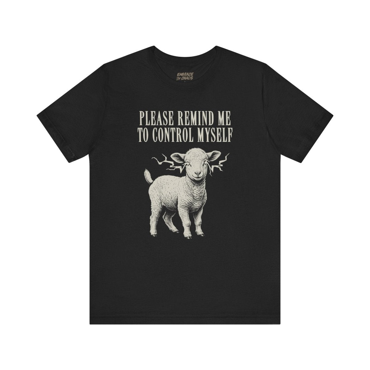 PLEASE REMIND ME T-SHIRT XS Black - Embrace The Chaos mental health humor apparel
