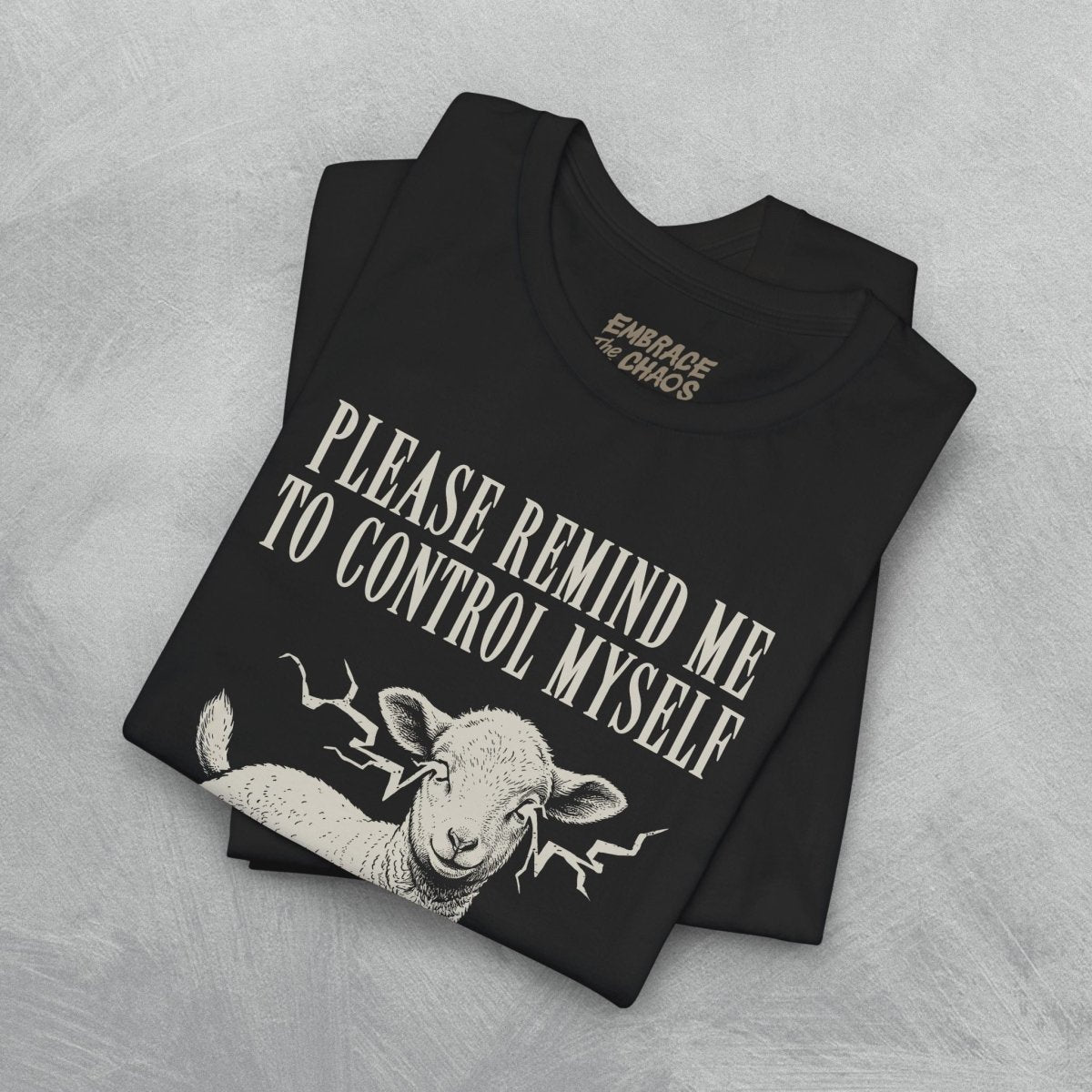 PLEASE REMIND ME T-SHIRT XS Team Purple - Embrace The Chaos mental health humor apparel